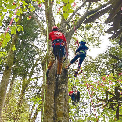 treeclimbing(1)