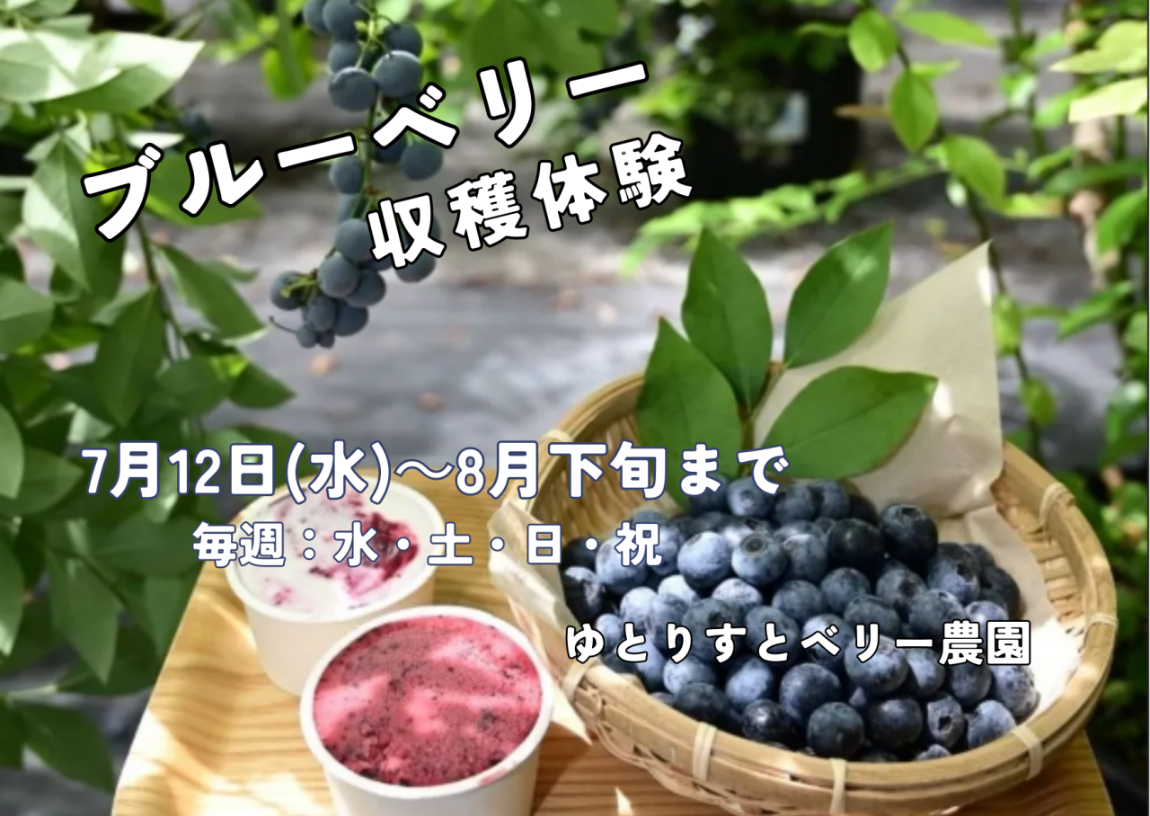 【大豊町】2023ブルーベリー収穫体験開催！