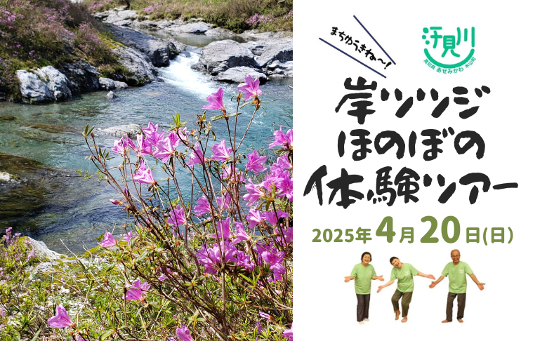 【本山町】岸ツツジほのぼの体験ツアー｜地元ガイドと清流汗見川で春満喫♪