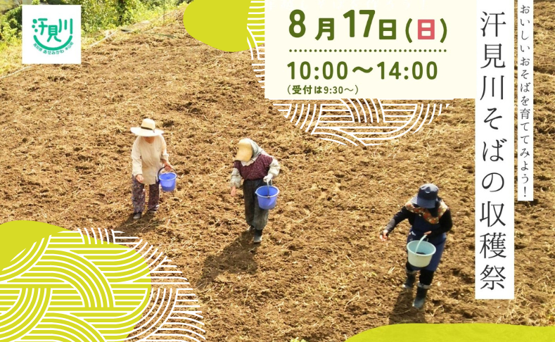 【本山町】汗見川そばの収穫祭2025｜第1回目はそばの種まき！