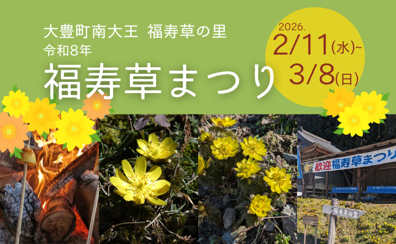 【大豊町】令和8年福寿草まつり／可憐な花で冬のお花見