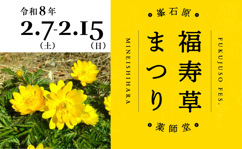 【土佐町】峯石原福寿草まつり2026｜歴史あるお堂で福寿草を愛でよう