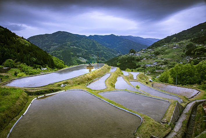 Nature of Japan